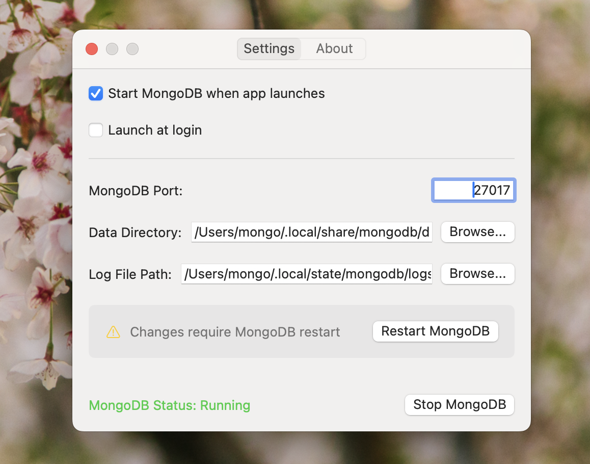 Mongo Menu Preferences
